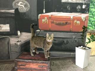 Мини-отель Sacvoyage Киев Стандартный двухместный номер с 1 кроватью и общей ванной комнатой-26